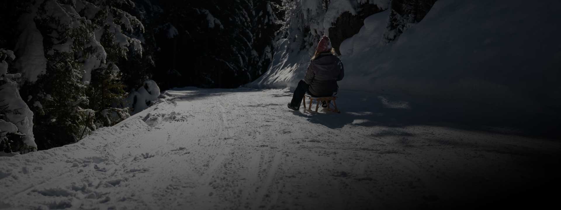 Night sledging with fondue 1 nachtschlitteln interlaken