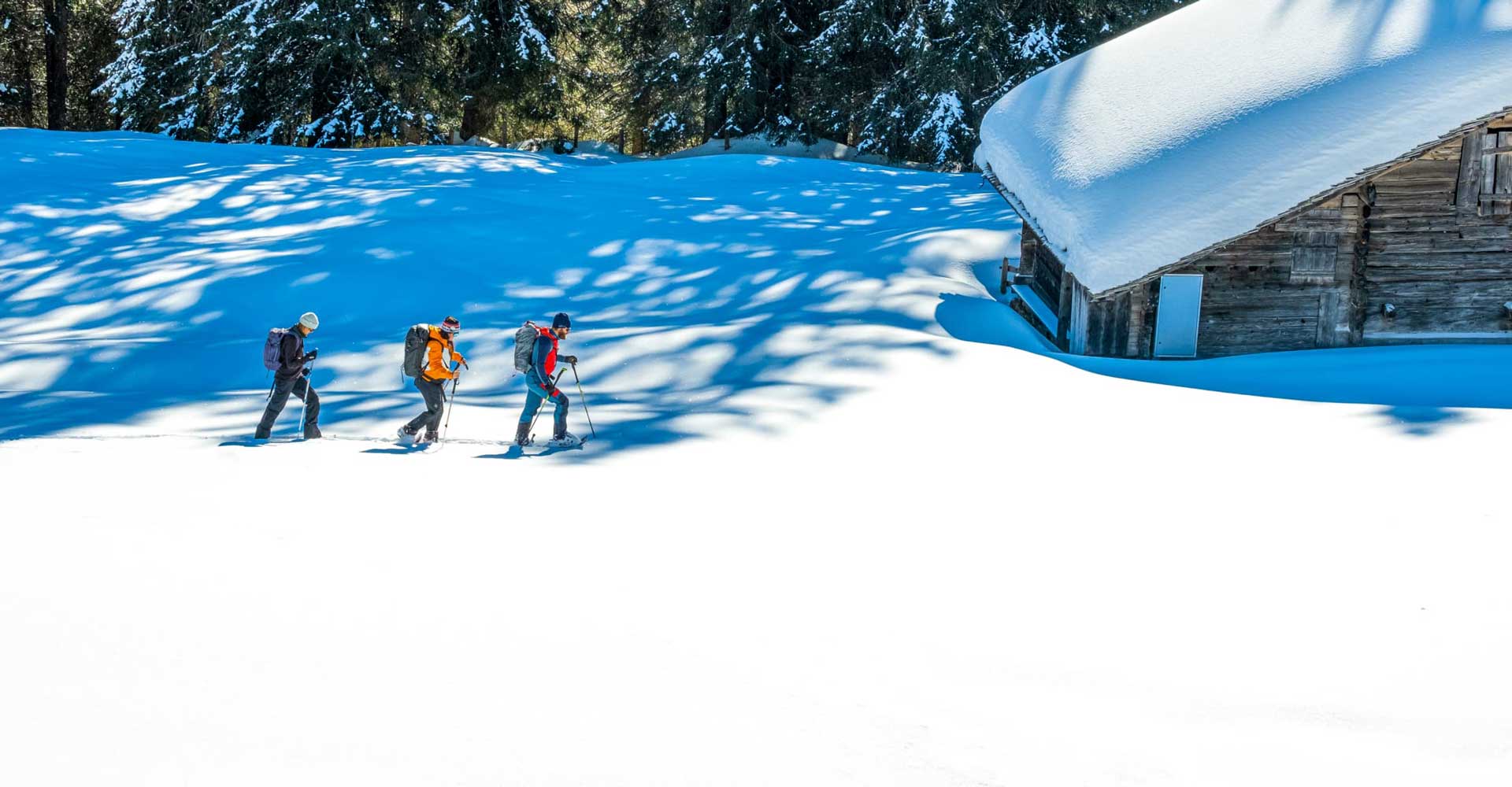 snowshoeing