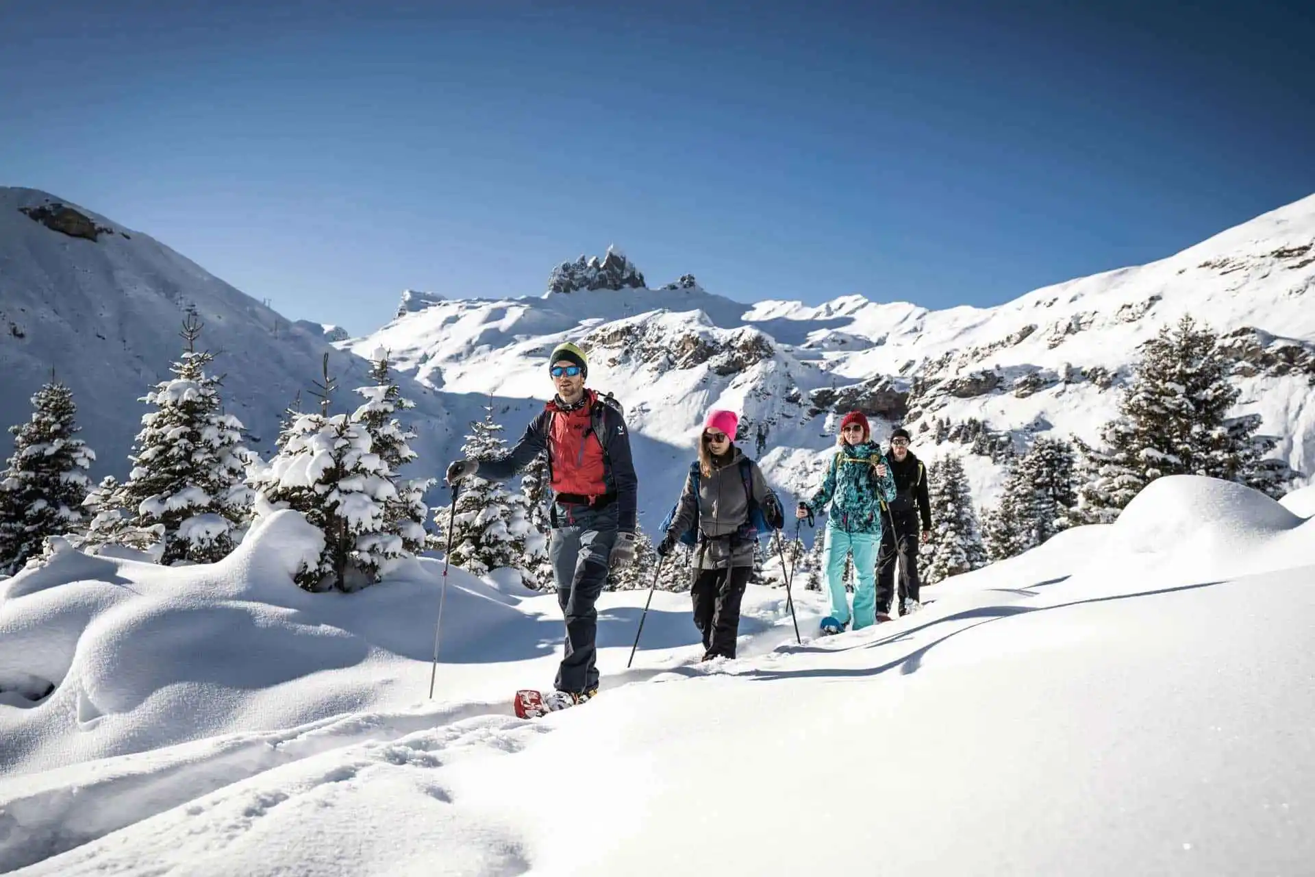 alpine adventure header ezgif.com jpg to webp converter