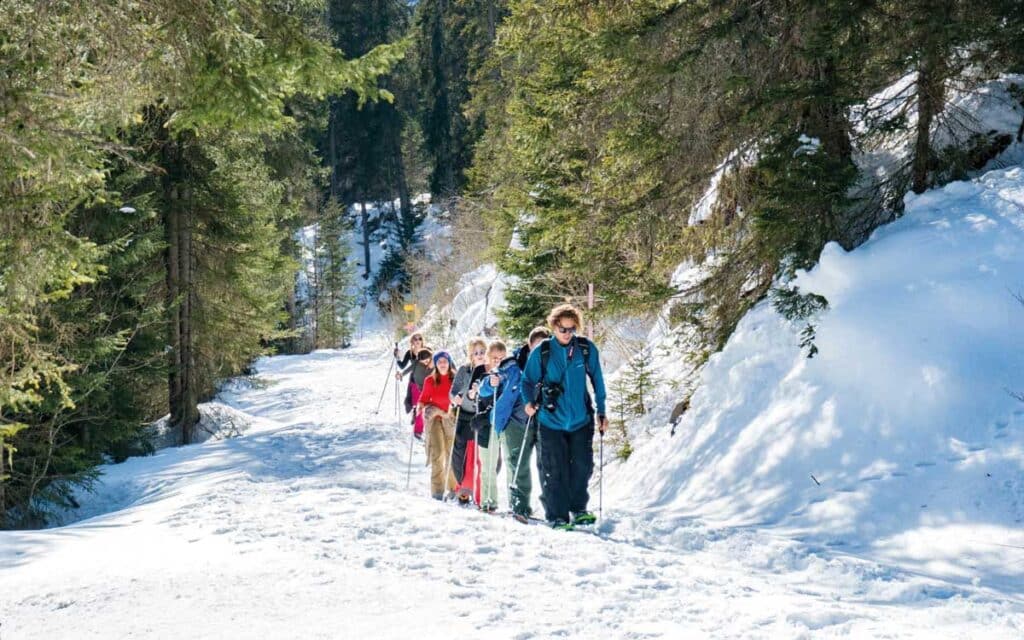 Actividades de invierno Interlaken Parte 2 2 Excursión con raquetas de nieve - snowshotour cerca de Interlaken