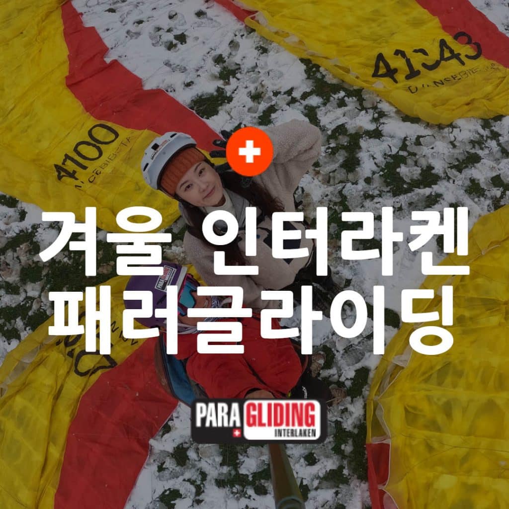 스위스 인터라켄 패러글라이딩 할인겨울 성수기 예약 방법리얼 후기 9