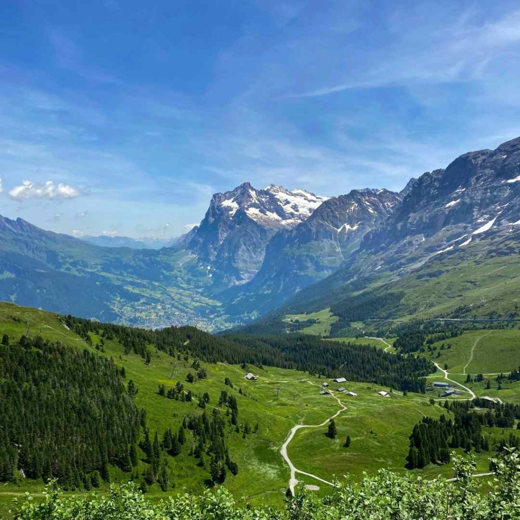 Vue panoramique sur des montagnes enneigées et vallées verdoyantes sous un ciel bleu ensoleillé.
