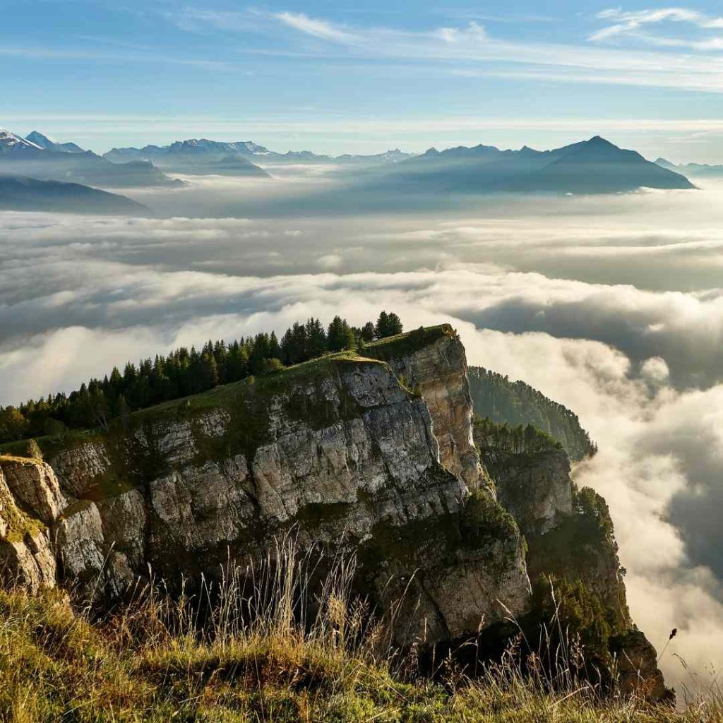 Rochers escarpés avec forêt de sapins, vue panoramique sur les montagnes et mer de nuages au lever du soleil.